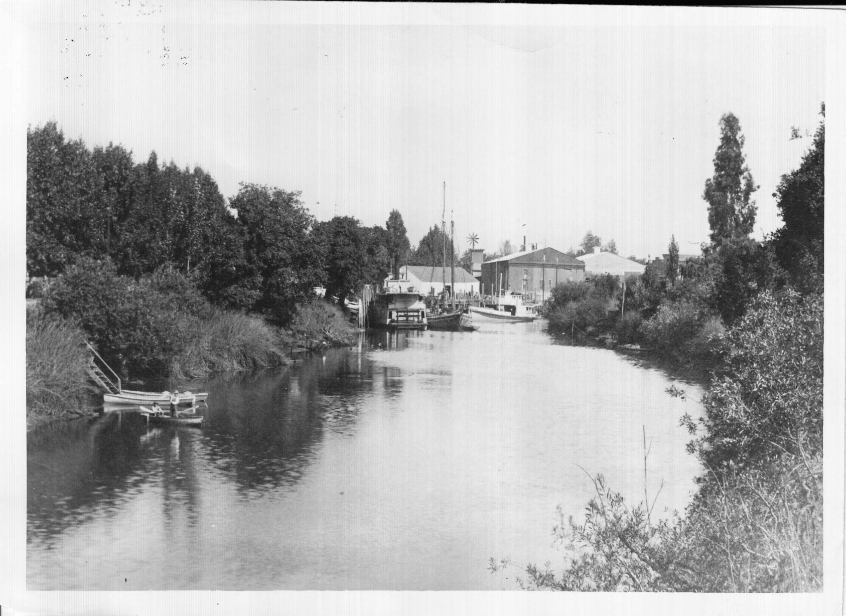 Napa River Scene